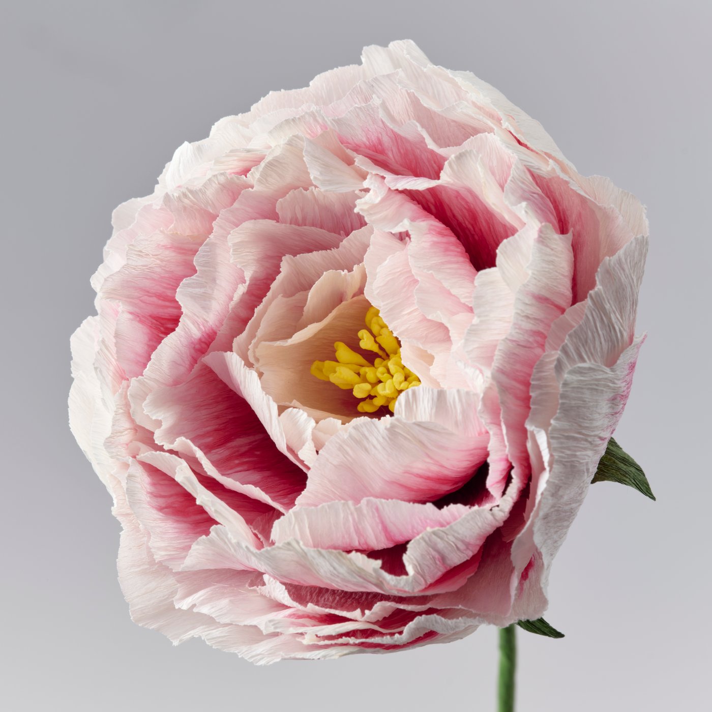 A pale pink GULDSPETT artificial peony against a grey background.