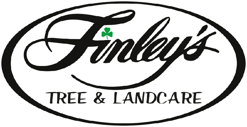 Finley's Tree & Landcare logo