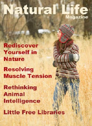 Natural Life magazine cover with child looking up standing in tall green grass field