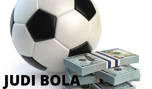 A picture containing indoor, soccer
Description automatically generated