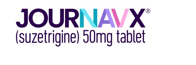 Website Logo Inclusion Journavx R Logo Rgb