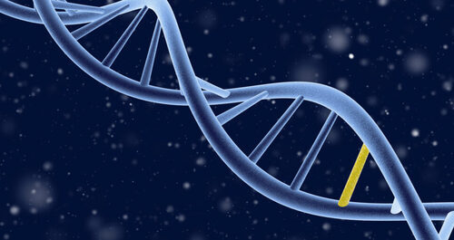 Simply Stated: Updates in Walker-Warburg Syndrome