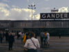 Gander by David Wipf CC BY 2.0 https://flic.kr/p/2gVnToD
