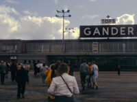 Gander by David Wipf CC BY 2.0 https://flic.kr/p/2gVnToD