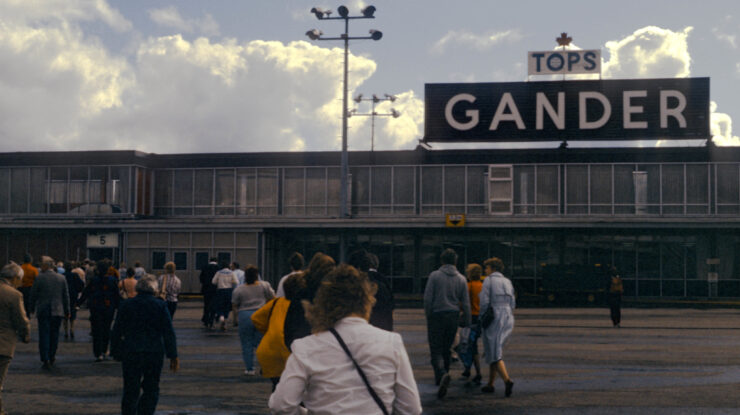 Gander by David Wipf CC BY 2.0 https://flic.kr/p/2gVnToD