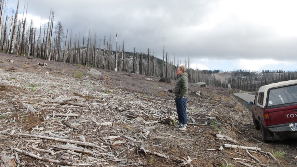 A man in a gray puffy down jacket looks out over a desolate, scarred hillside near a roadway. Remnants of charred trees stand farther up the hill.