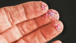 Small colorful plastic particles lie on someone's fingers.