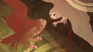 Illustration of two owls flying towards each other against a green background. A red string entangles both owls.