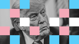 A collage that centers a black-and-white photo of a stern-looking Donald Trump. Overlaying him are squares representative of the pink, blue and white colors in the Transgender flag. However, many squares are noticeably missing, as if they have been removed.