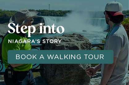 niagara takes flight ride