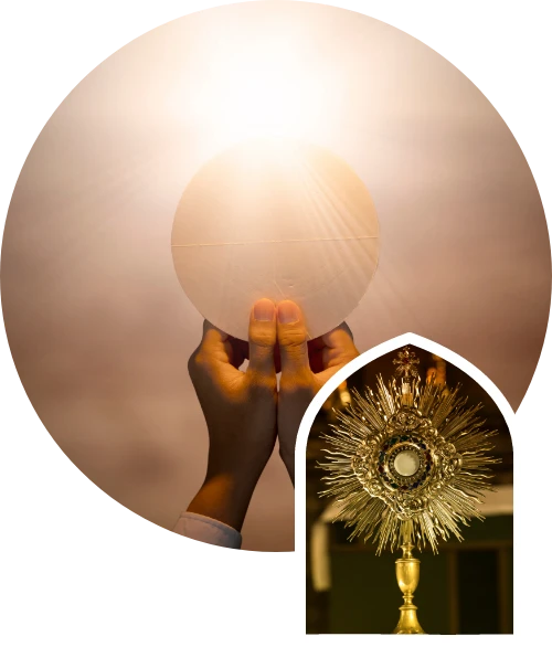 share body of christ