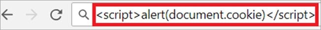 Test Against XSS Example