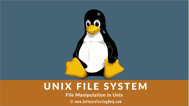 File Manipulation in Unix