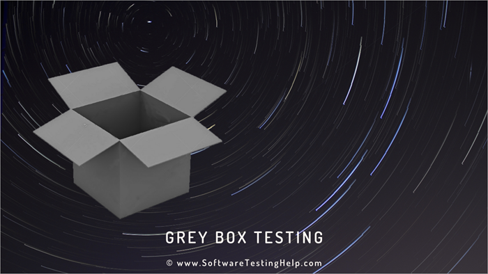 Grey Box Testing
