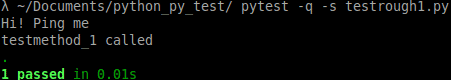 pytest session
