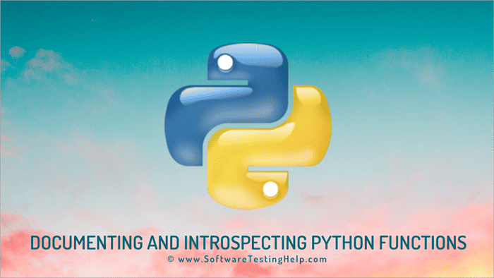 Python docstring -Documenting and introspecting Functions