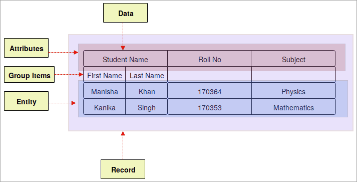 Python basic_terminology - Field