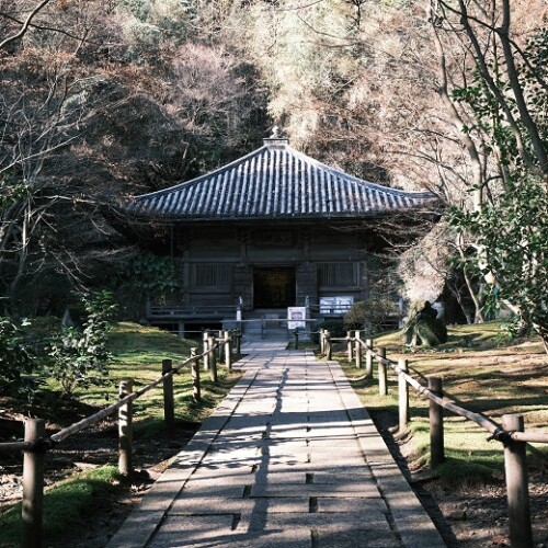 平泉中尊寺の周辺の1月の写真