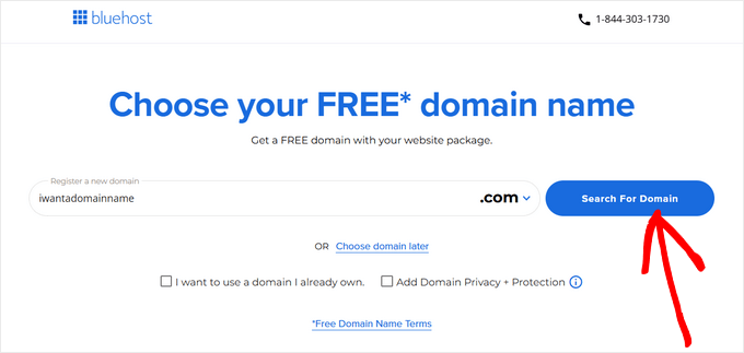 Bluehost Free Domain Name for WPBeginner Users Bluehost Free Domain Name for WPBeginner Users