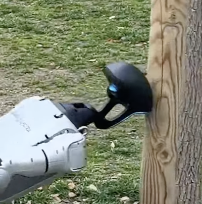 Tecnonauta prueba los robots DomoDog y DomoBot