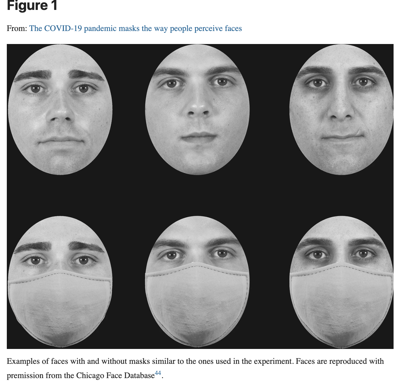 Faces are shown which were similar to ones used in experiment. The three faces at top have different facial expressions. The three faces at bottom are same faces, but with masks on.